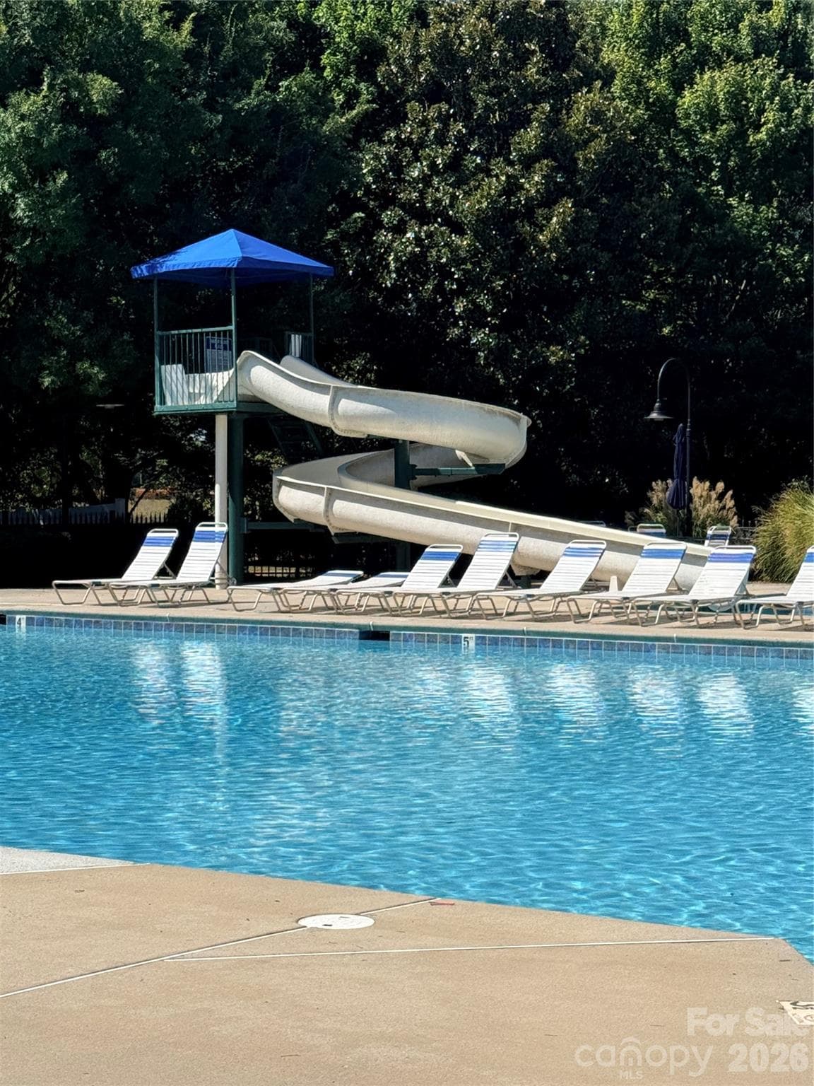 Pool and slide - 14525 Holly Springs Drive, Huntersville
