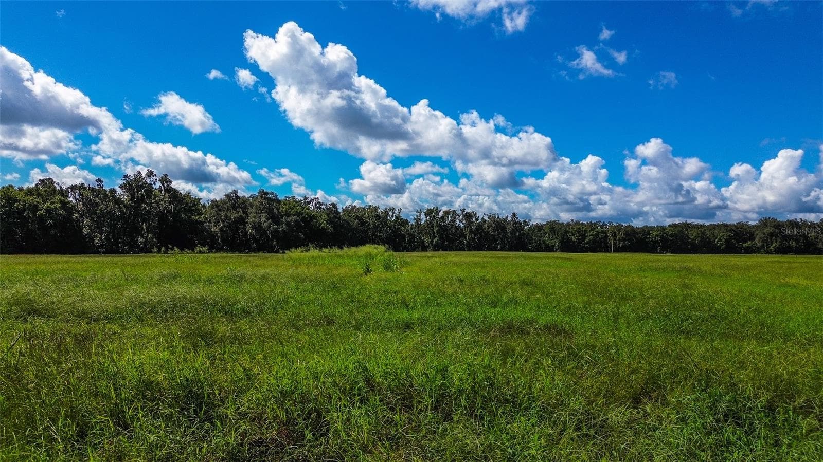 Land at 00 MILLER RD, DADE CITY, photo 2 of 12