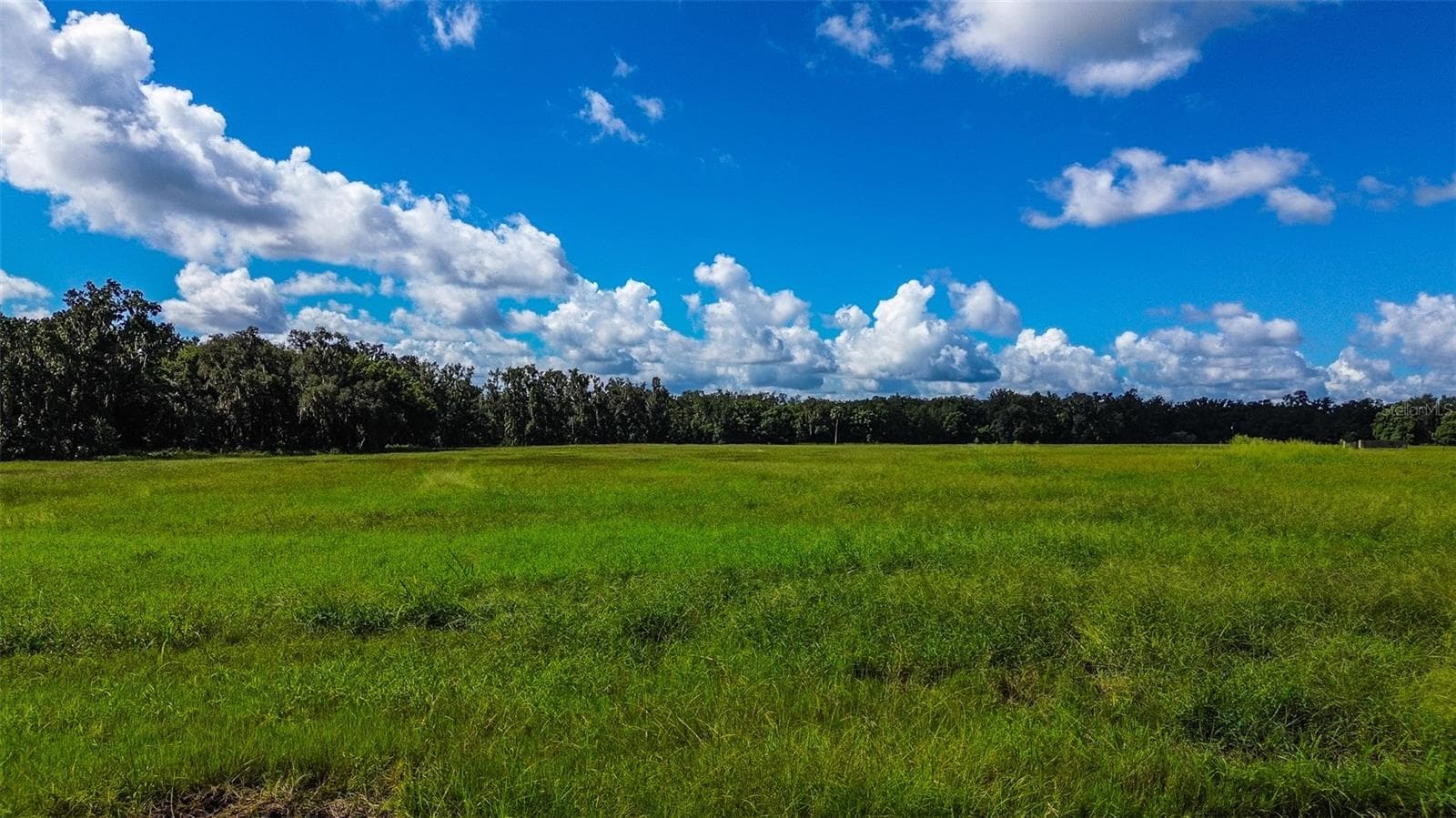 Land at 00 MILLER RD, DADE CITY, photo 3 of 12