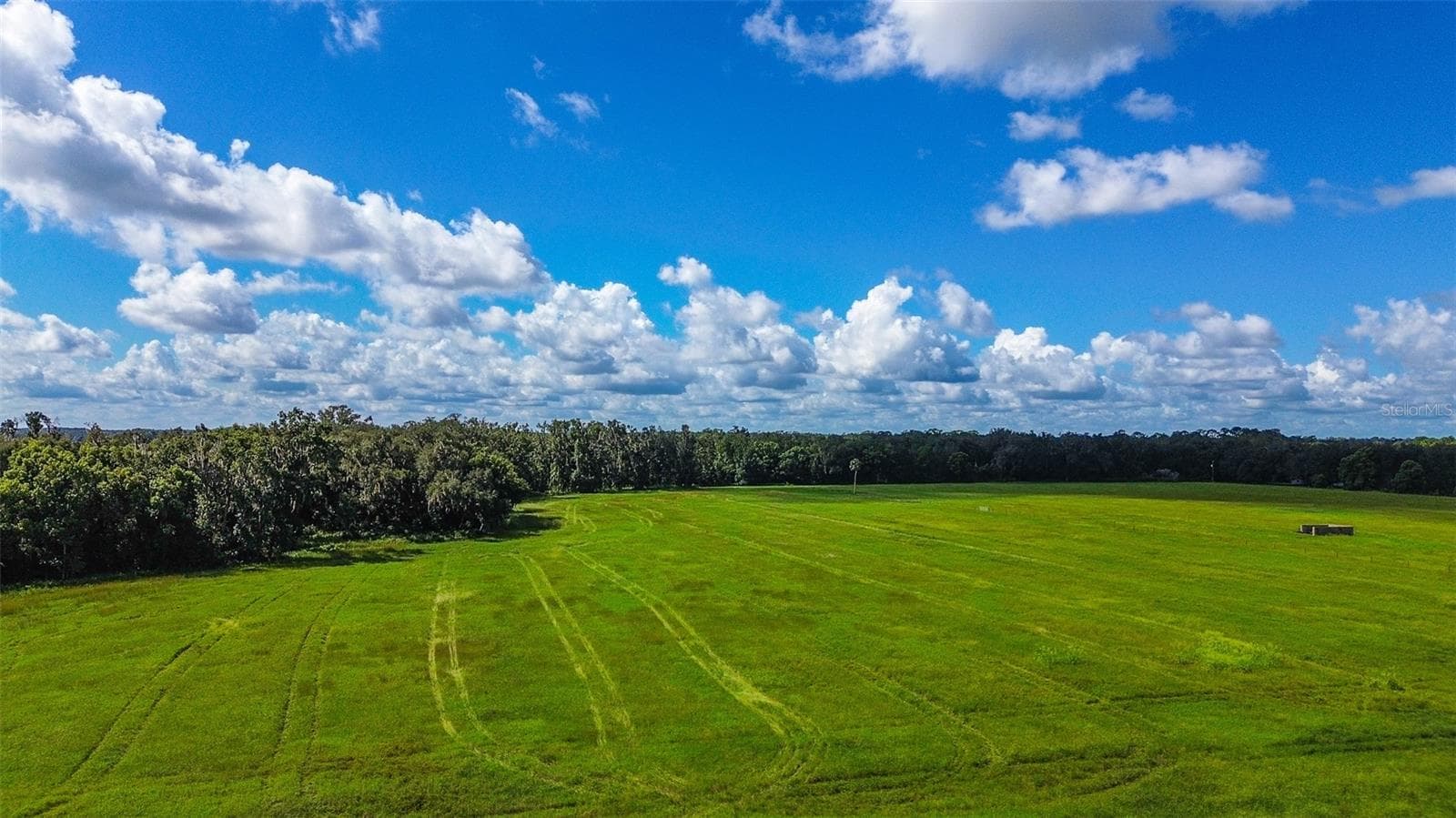 Land at 00 MILLER RD, DADE CITY, photo 4 of 12