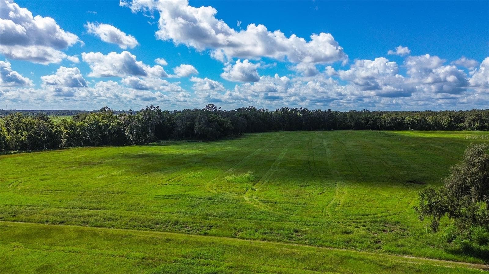 Land at 00 MILLER RD, DADE CITY, photo 6 of 12