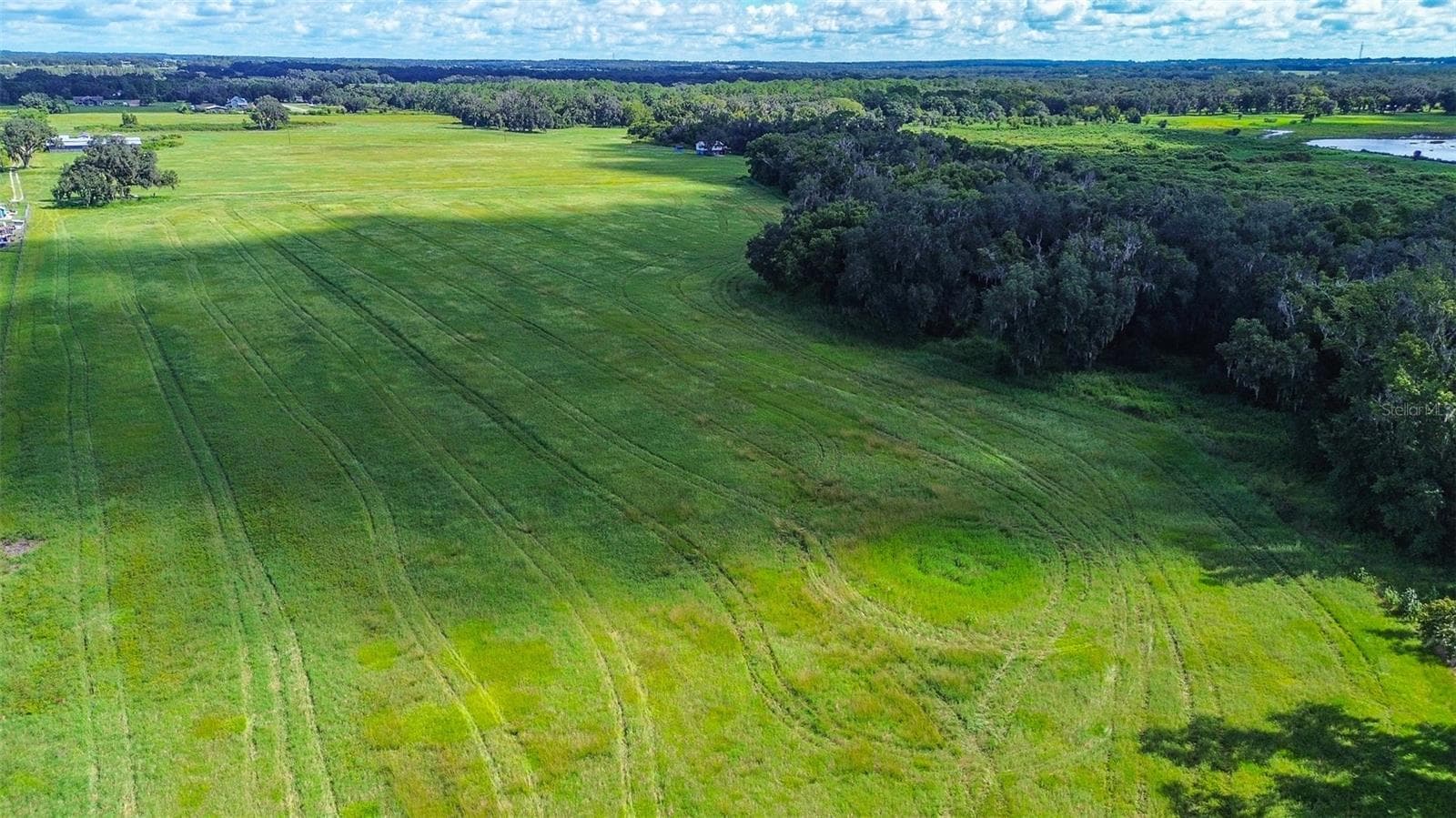 Land at 00 MILLER RD, DADE CITY, photo 10 of 12