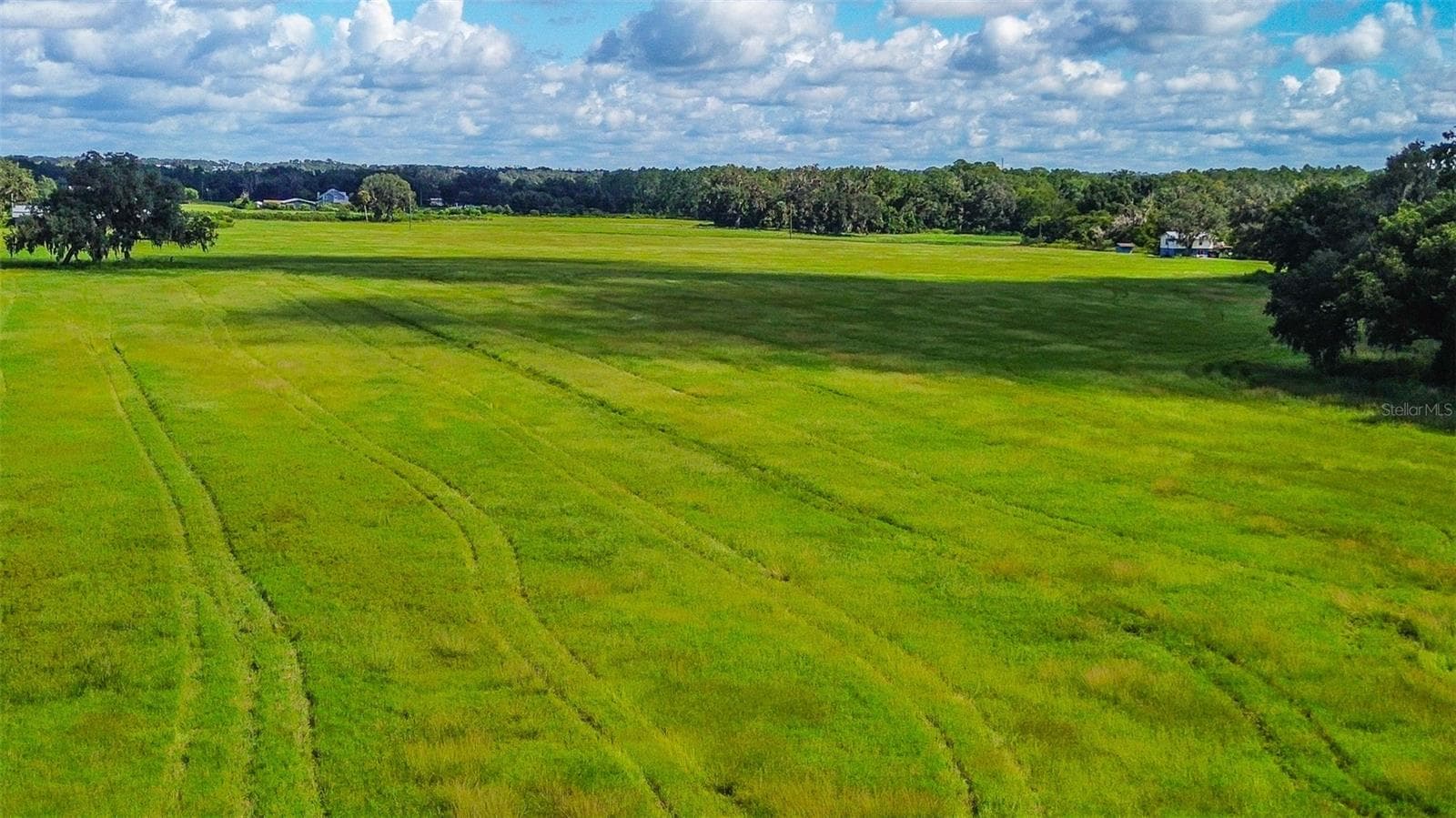 Land at 00 MILLER RD, DADE CITY, photo 11 of 12