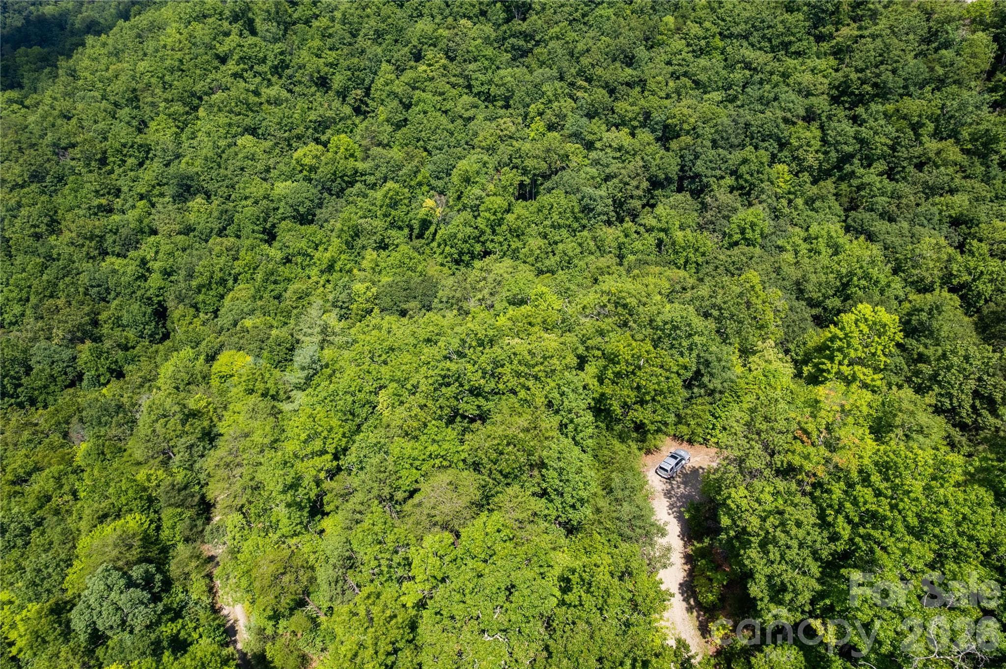 Acreage at OFF Little East Fork Road, Canton, photo 9 of 18