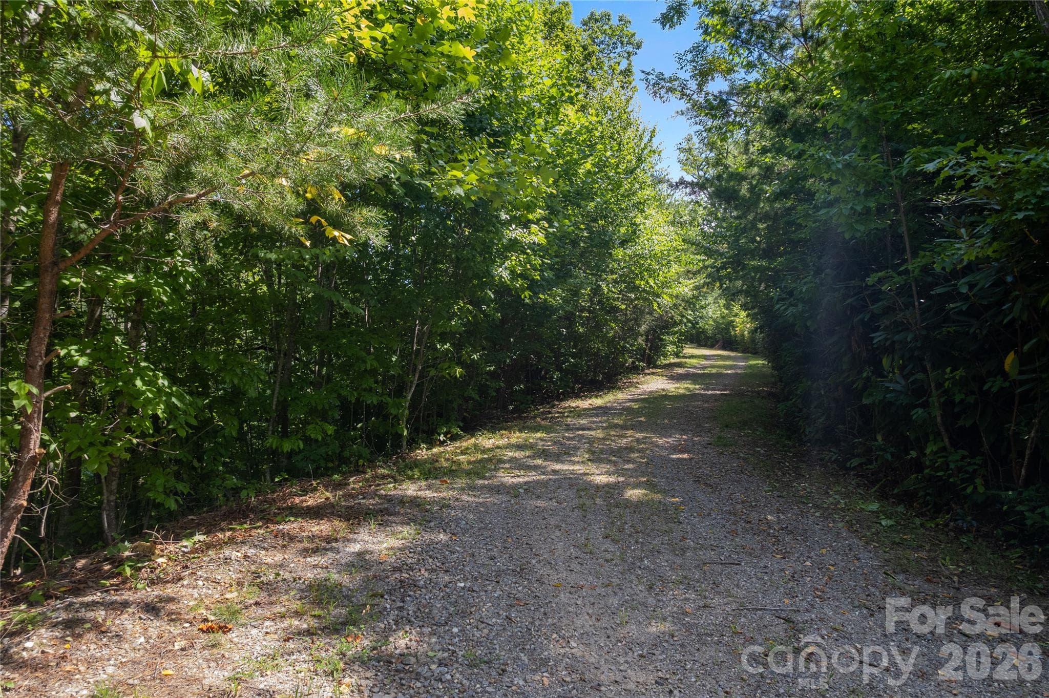Acreage at OFF Little East Fork Road, Canton, photo 11 of 18