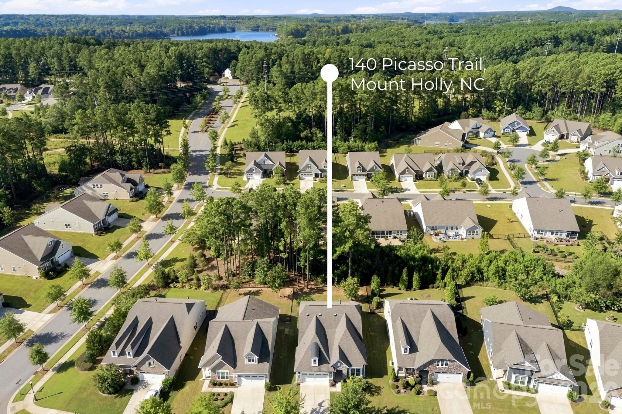 Single Family Residence at 140 Picasso Trail, Mount Holly, photo 3 of 37