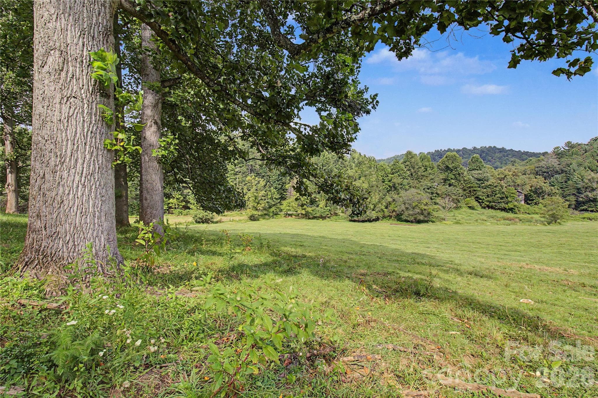 Build your forever home! - 00000 Whippoorwill Lane, Leicester