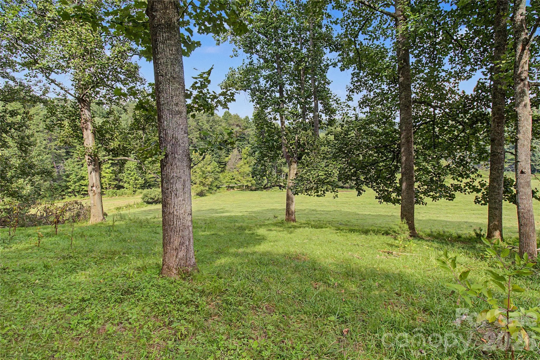 Build two or three homes! - 00000 Whippoorwill Lane, Leicester