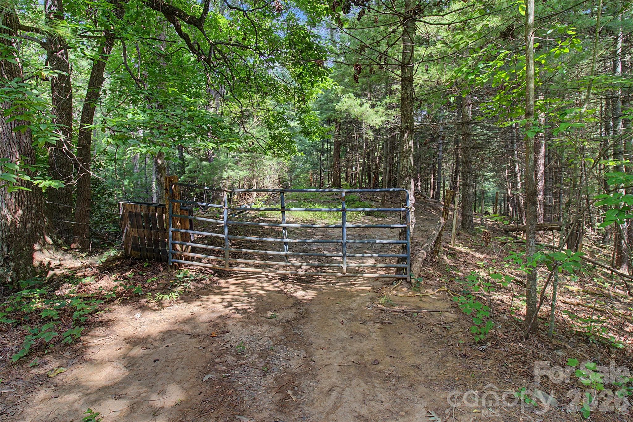 Majority of the property is fenced in and has cattle on it - 00000 Whippoorwill Lane, Leicester