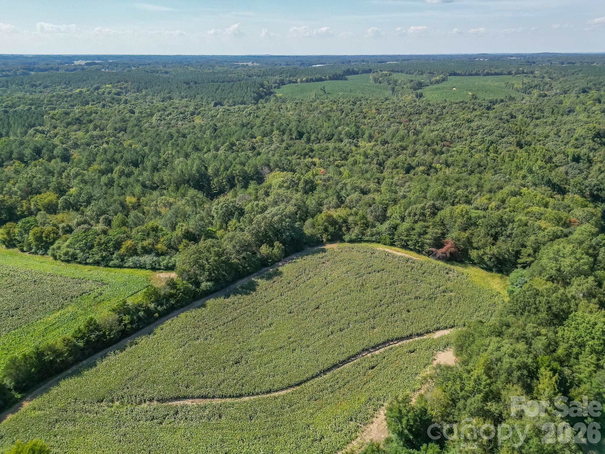 Acreage at 589 Bill Curlee Road, Polkton, photo 8 of 42