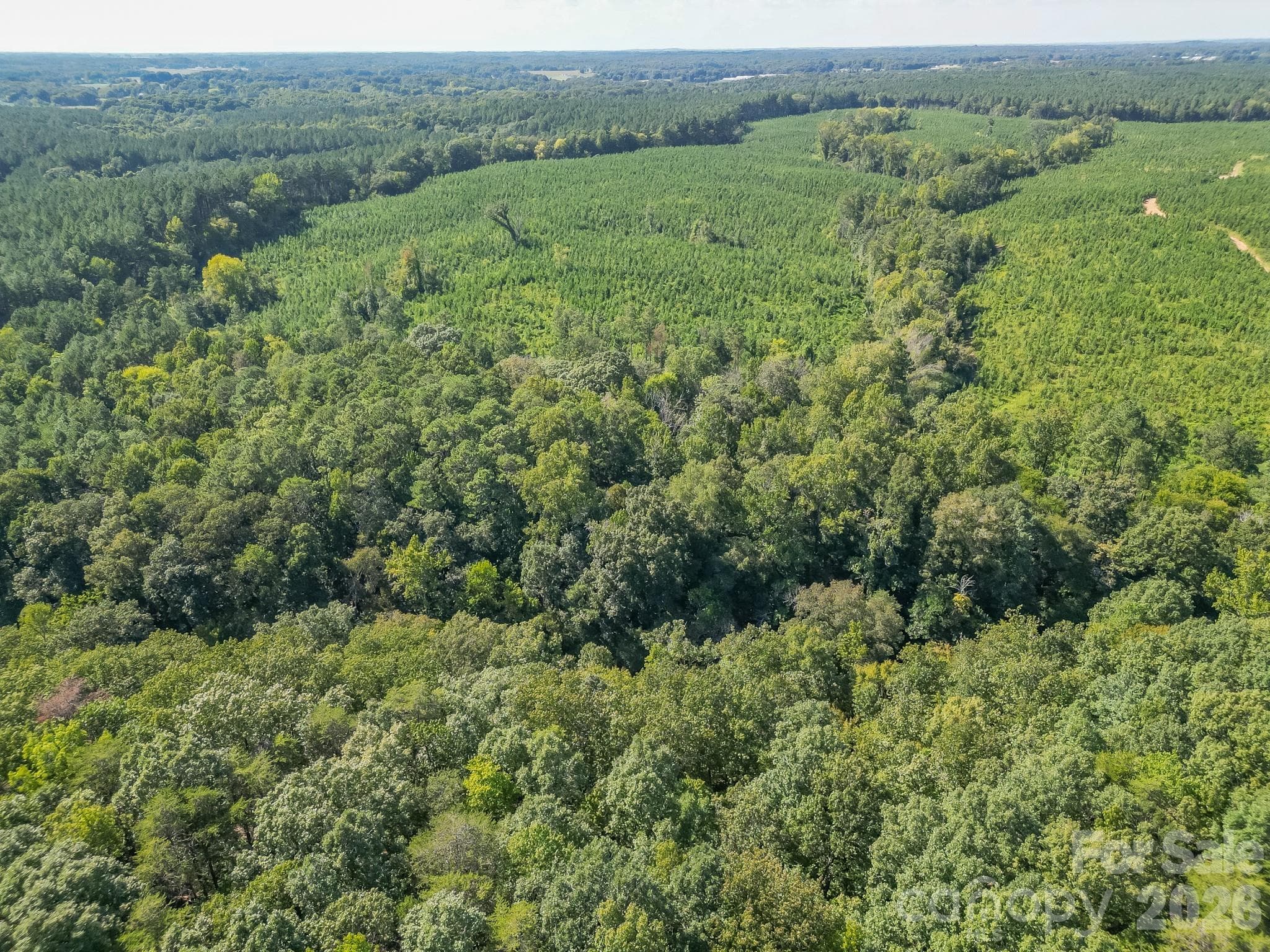 Acreage at 589 Bill Curlee Road, Polkton, photo 10 of 42