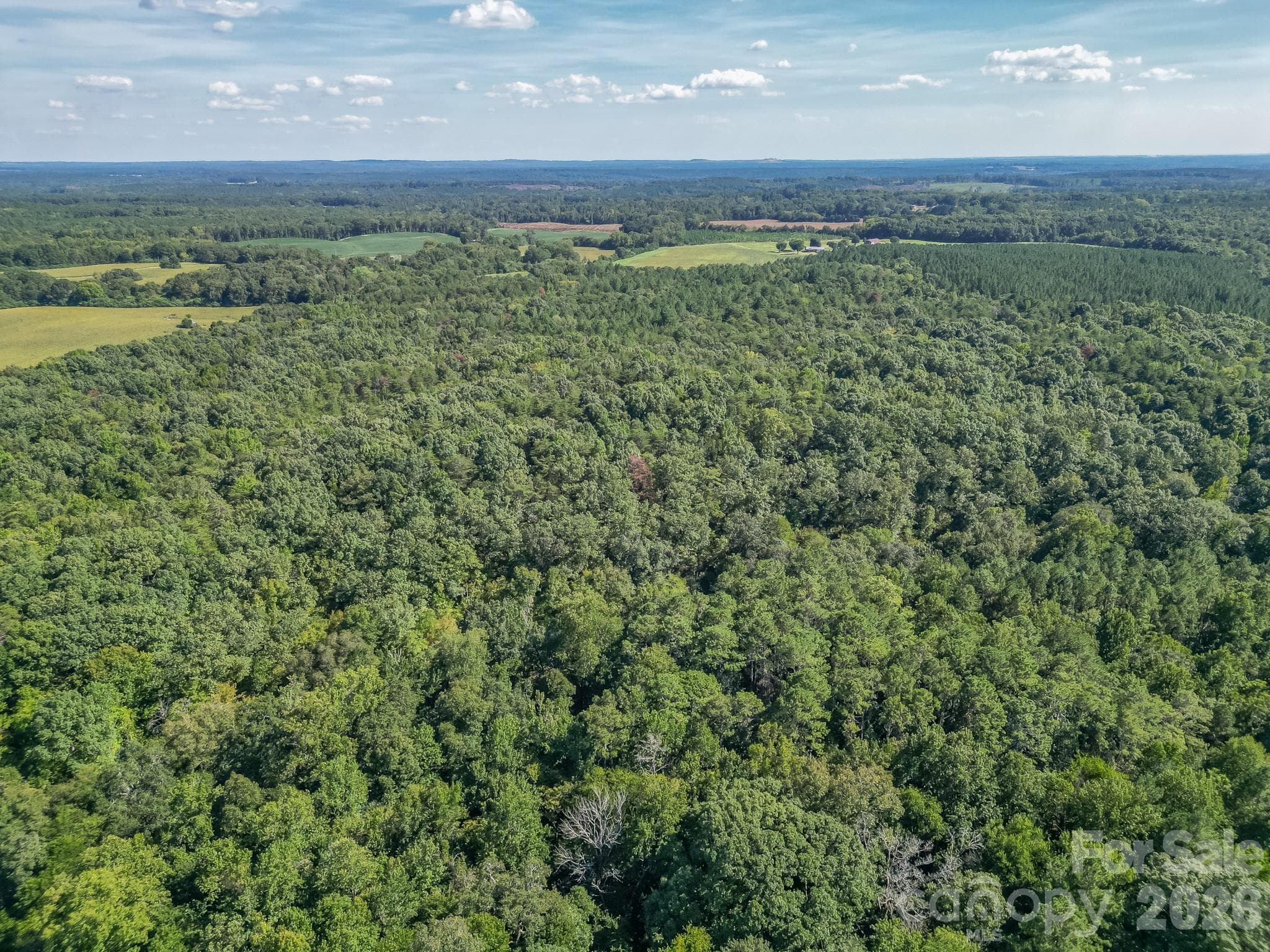 Acreage at 589 Bill Curlee Road, Polkton, photo 12 of 42