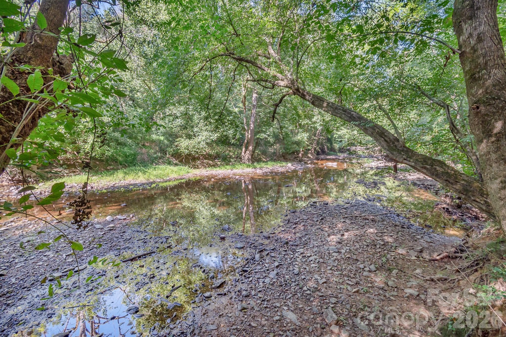 Acreage at 589 Bill Curlee Road, Polkton, photo 15 of 42