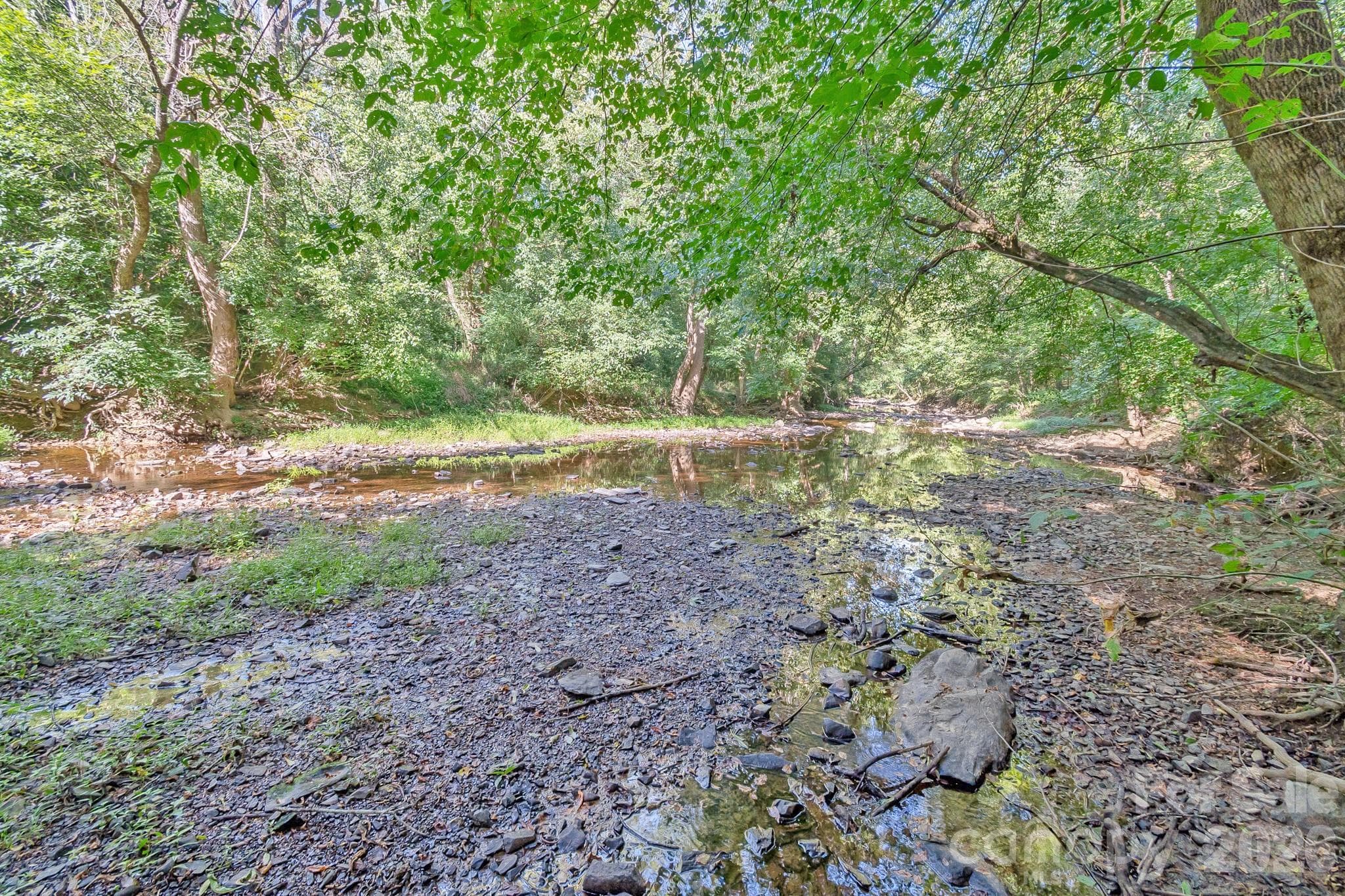 Acreage at 589 Bill Curlee Road, Polkton, photo 20 of 42