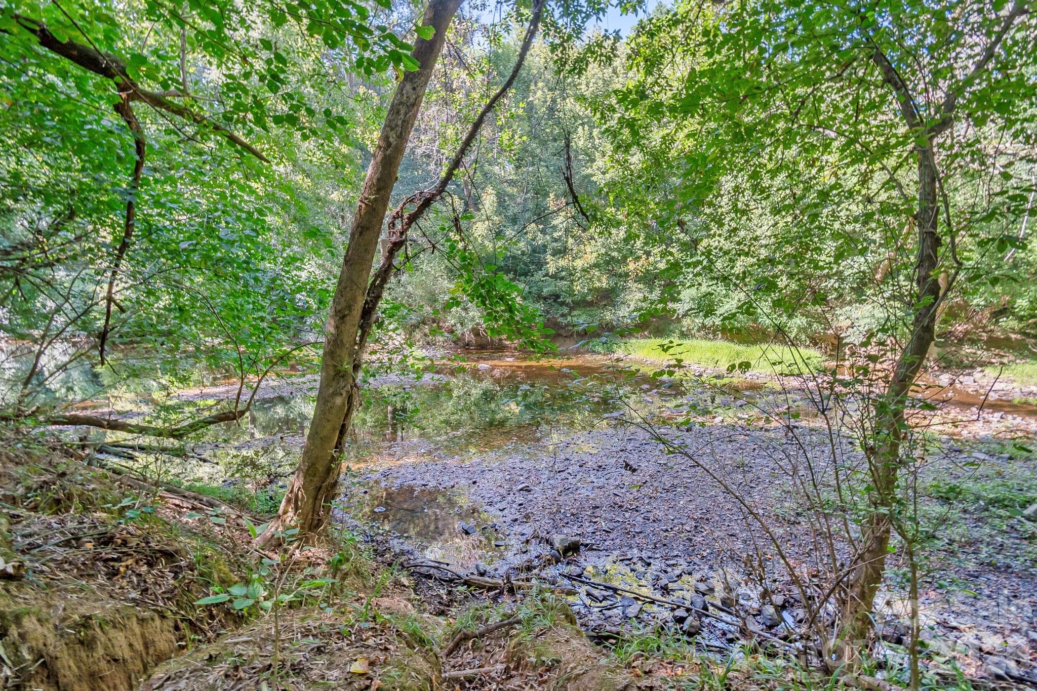 Acreage at 589 Bill Curlee Road, Polkton, photo 24 of 42