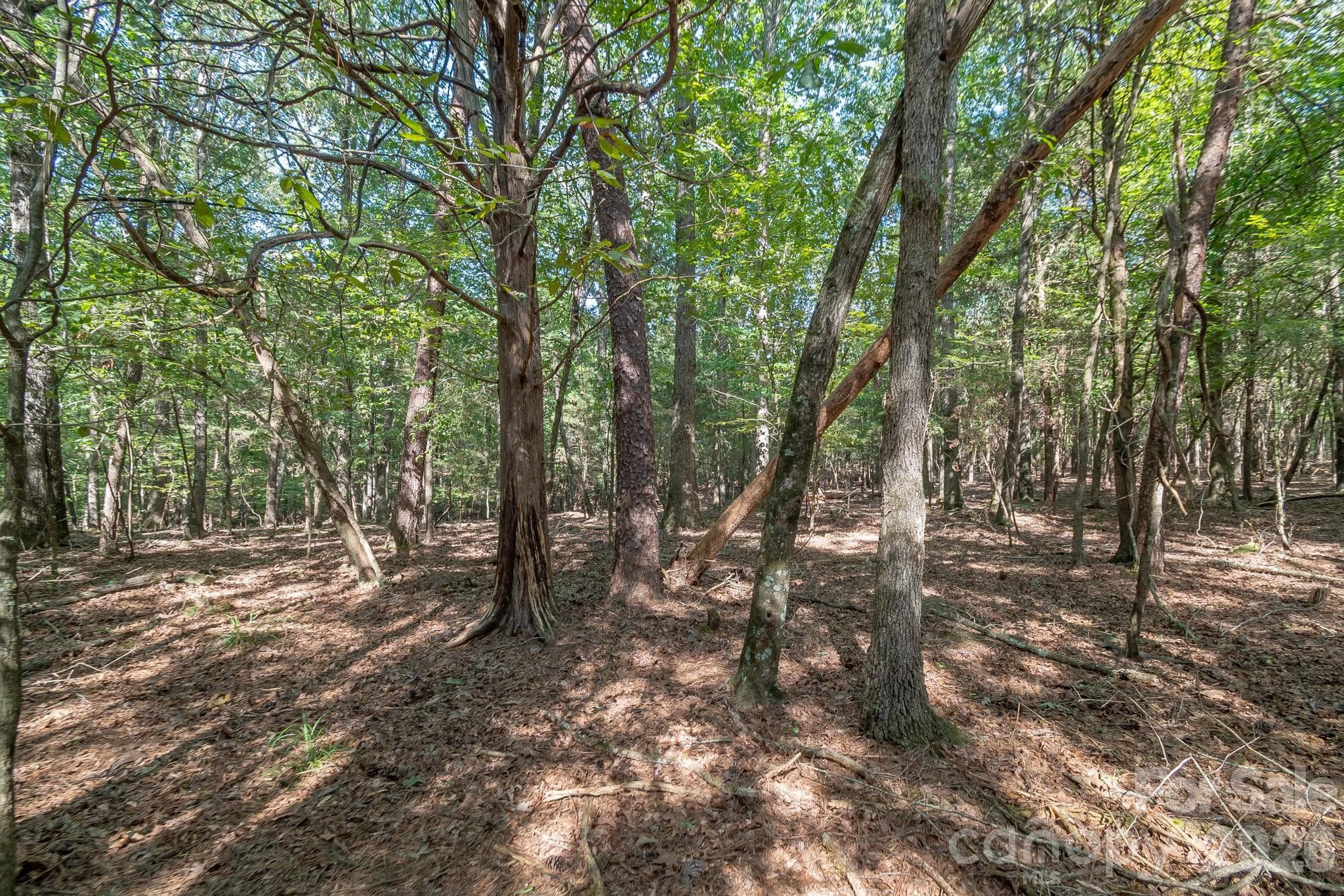 Acreage at 589 Bill Curlee Road, Polkton, photo 29 of 42