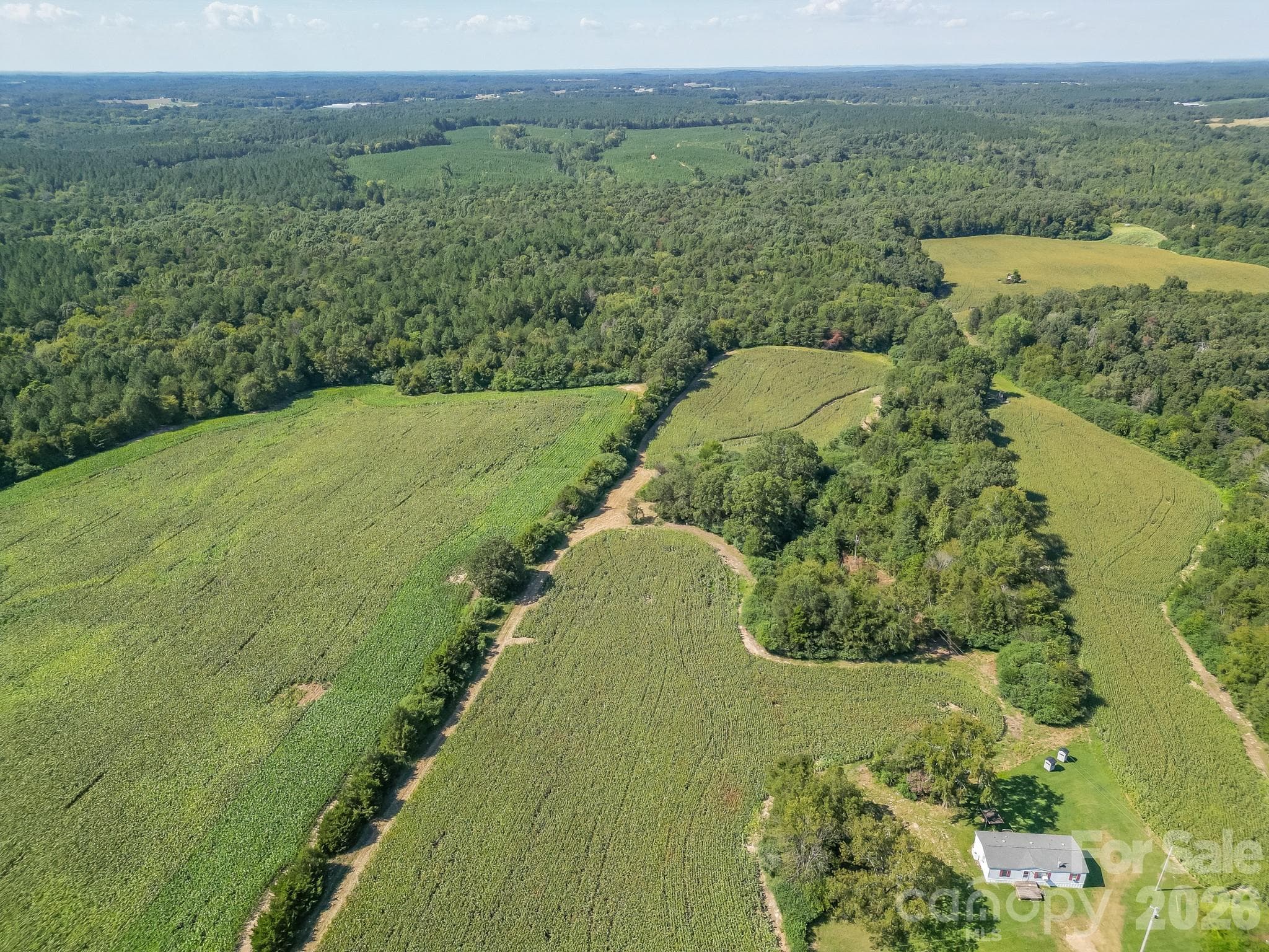 Acreage at 589 Bill Curlee Road, Polkton, photo 33 of 42