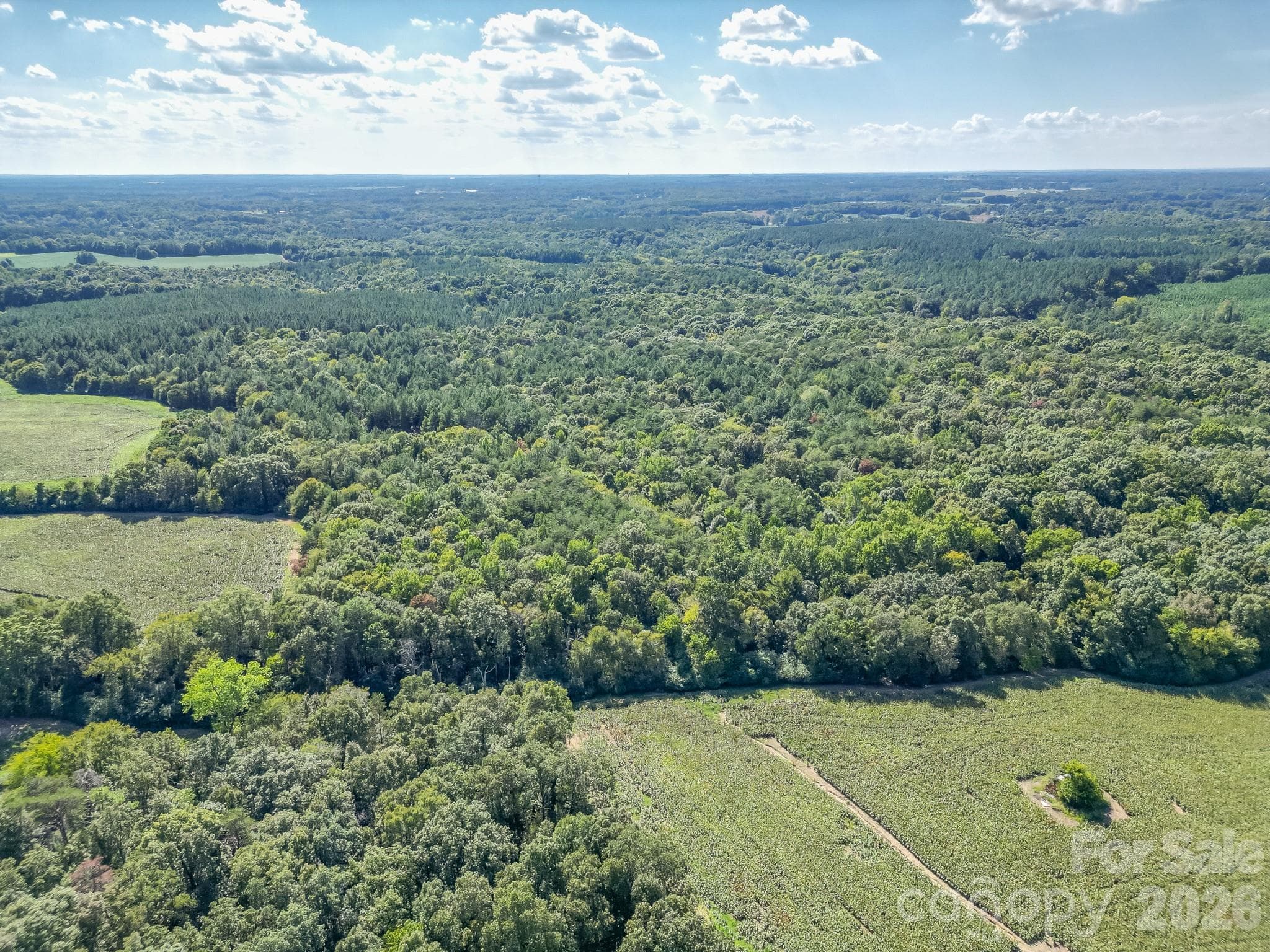Acreage at 589 Bill Curlee Road, Polkton, photo 40 of 42