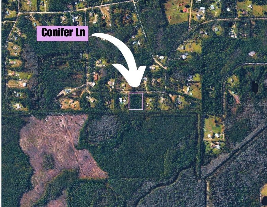 Land at 220 CONIFER LN, ORMOND BEACH, photo 6 of 16