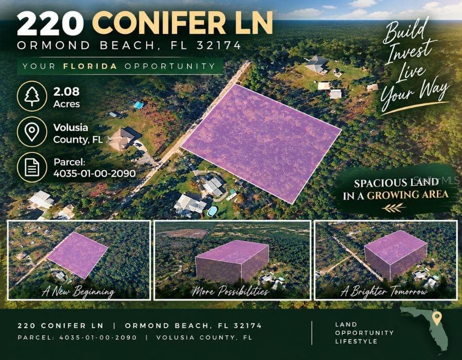 Land at 220 CONIFER LN, ORMOND BEACH, photo 12 of 16