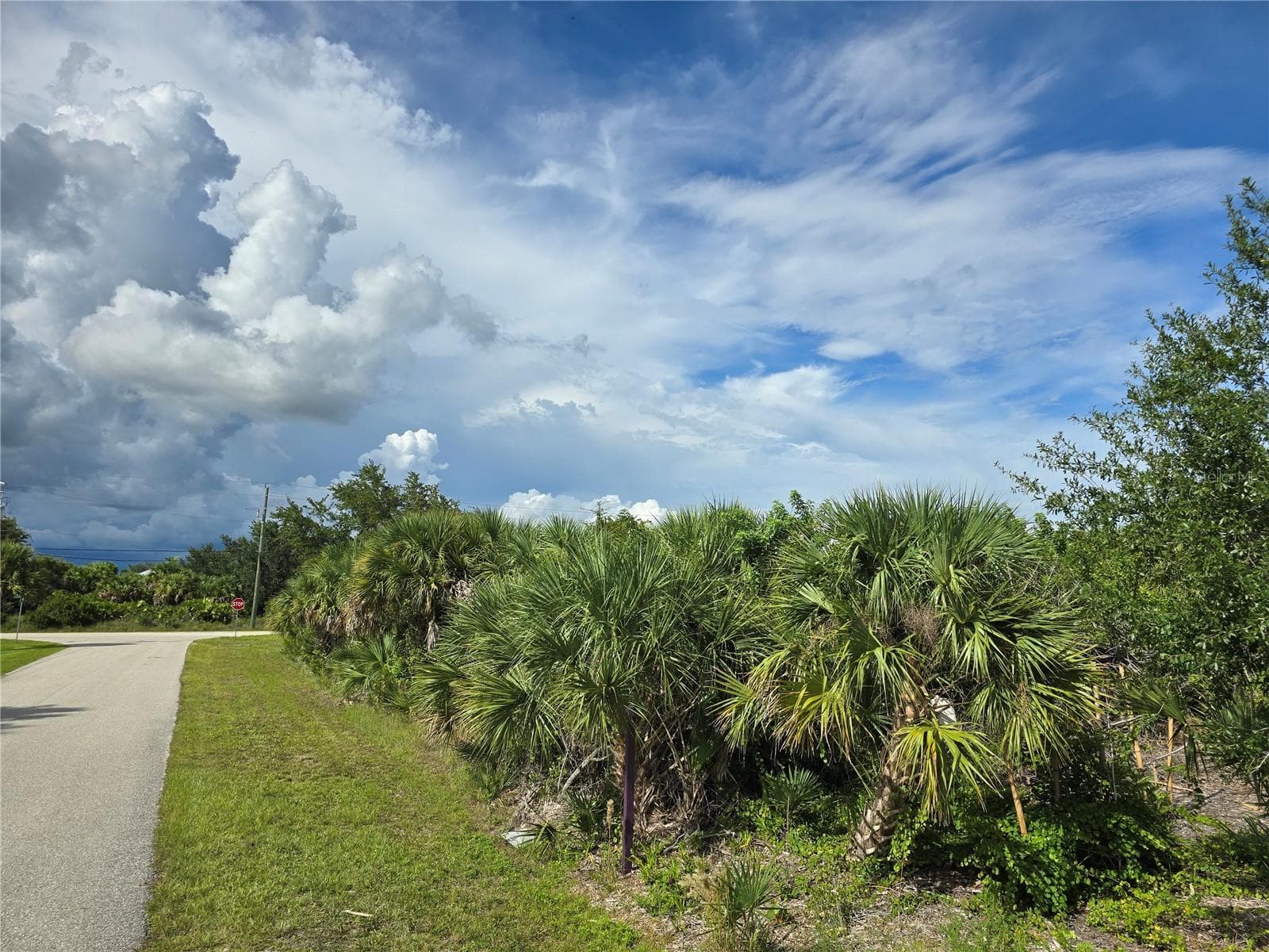 Land at 14250 MONTMARTE AVE, PORT CHARLOTTE, photo 4 of 5