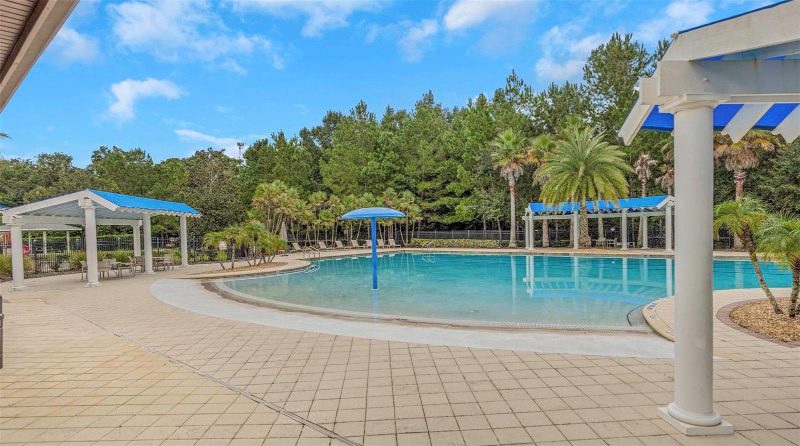 Community pool - 17807 HOWSMOOR PL, LUTZ