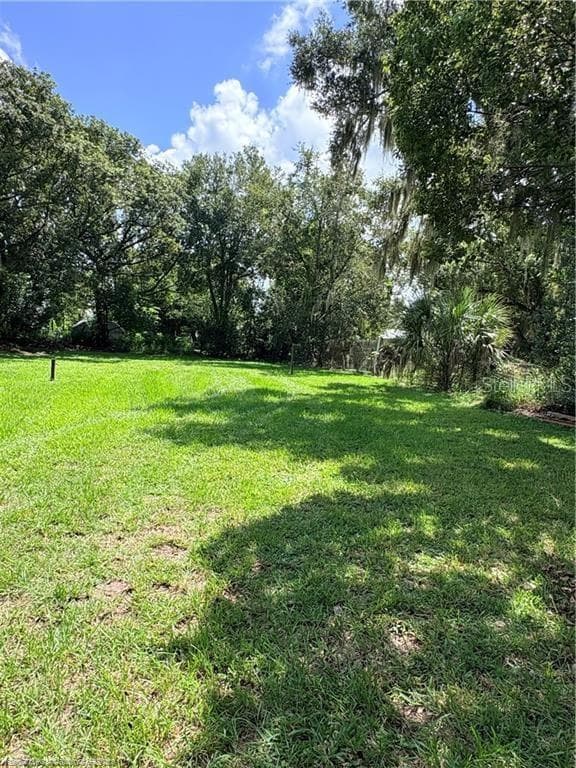 Single Family Residence at 311 S 8TH AVE, WAUCHULA, photo 8 of 8