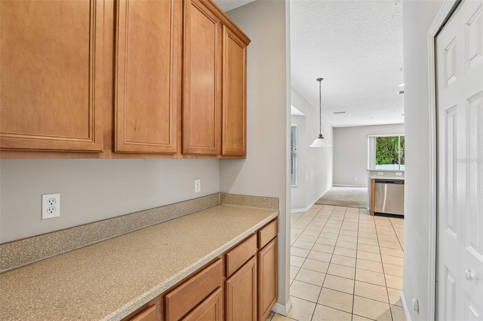 Butler's pantry for additional storage. - 10411 KRISTEN PARK DR, ORLANDO