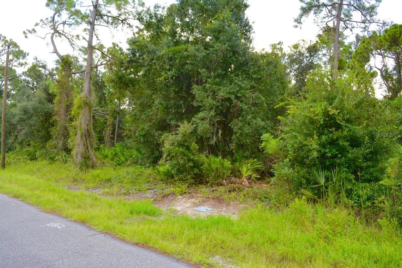 Land at 20209 WINKLER AVE, PORT CHARLOTTE, photo 2 of 14
