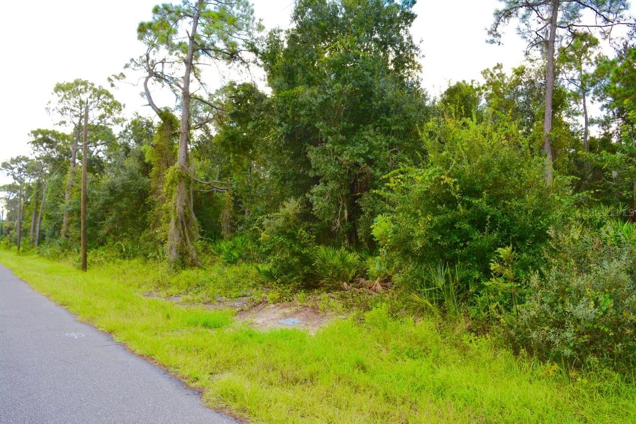 Land at 20209 WINKLER AVE, PORT CHARLOTTE, photo 4 of 14