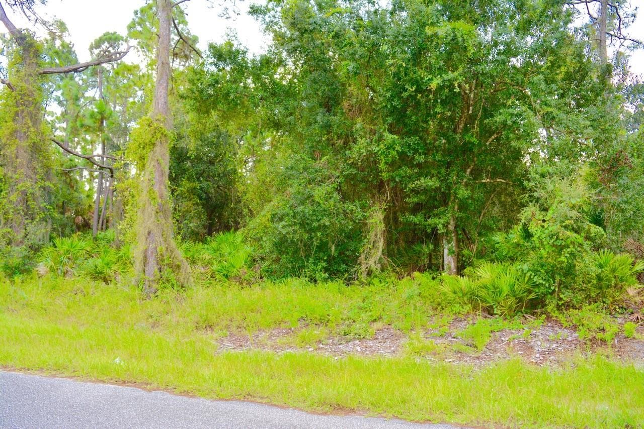 Land at 20209 WINKLER AVE, PORT CHARLOTTE, photo 6 of 14
