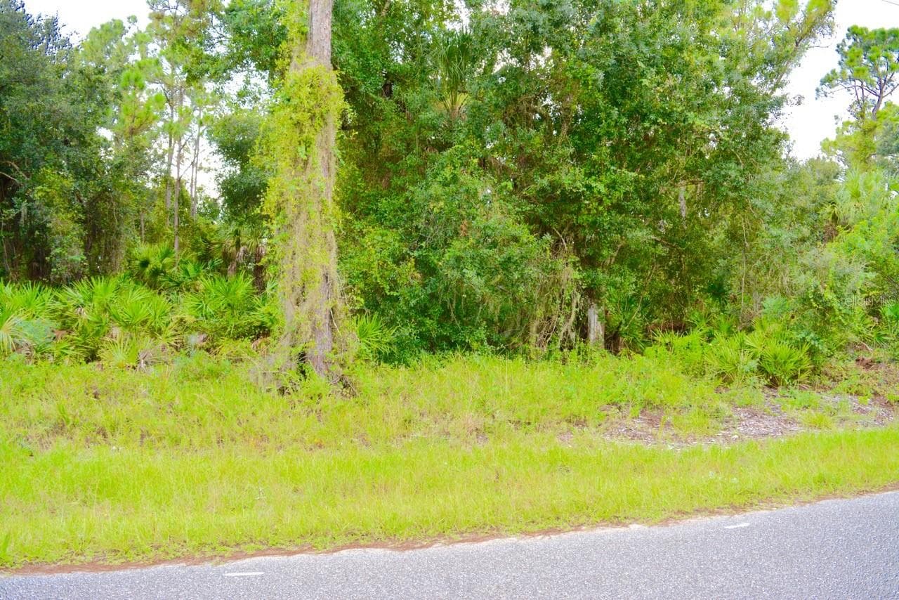 Land at 20209 WINKLER AVE, PORT CHARLOTTE, photo 7 of 14