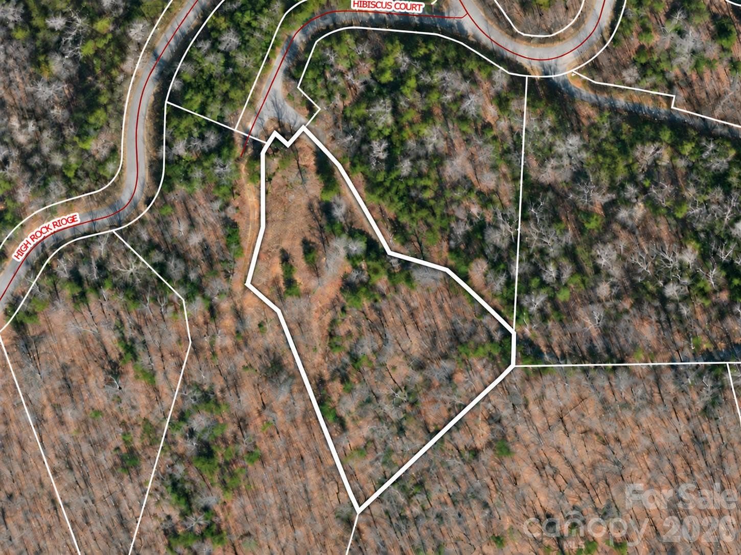 Lot 5 Hibiscus Ct Lake Lure in Rumbling Bald On Lake Lure. Great building sites, Views! - Lake Lure