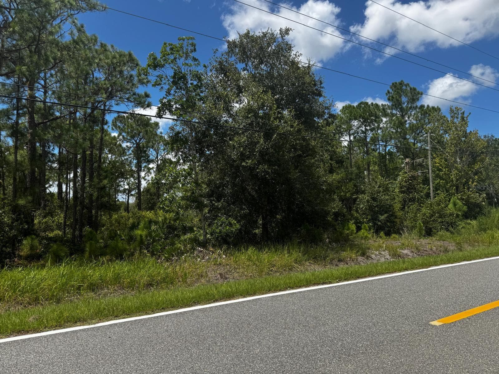 MCCLELLAN RD #49