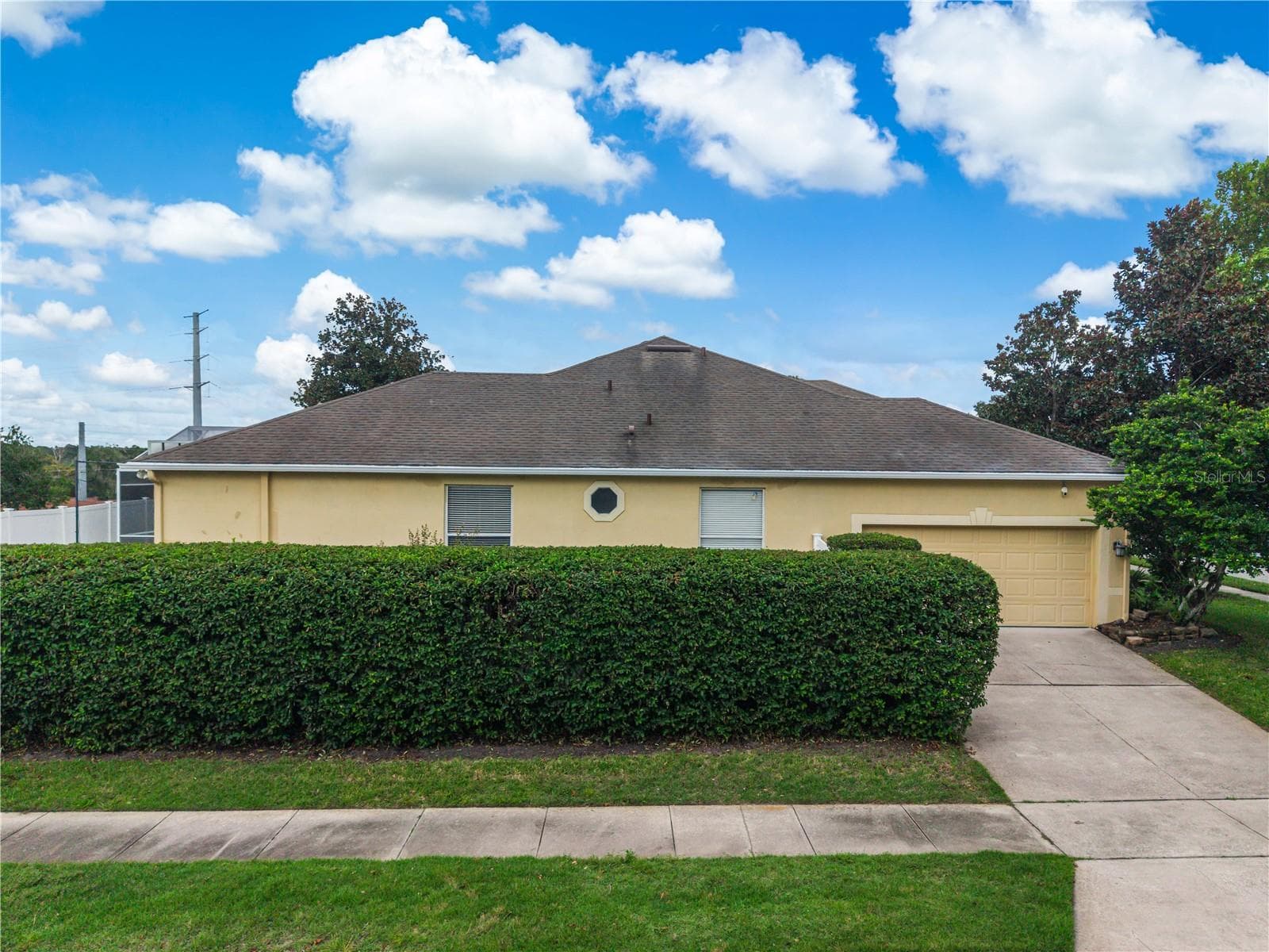 Privacy Hedges - 116 OAK GROVE CIR, LAKE MARY