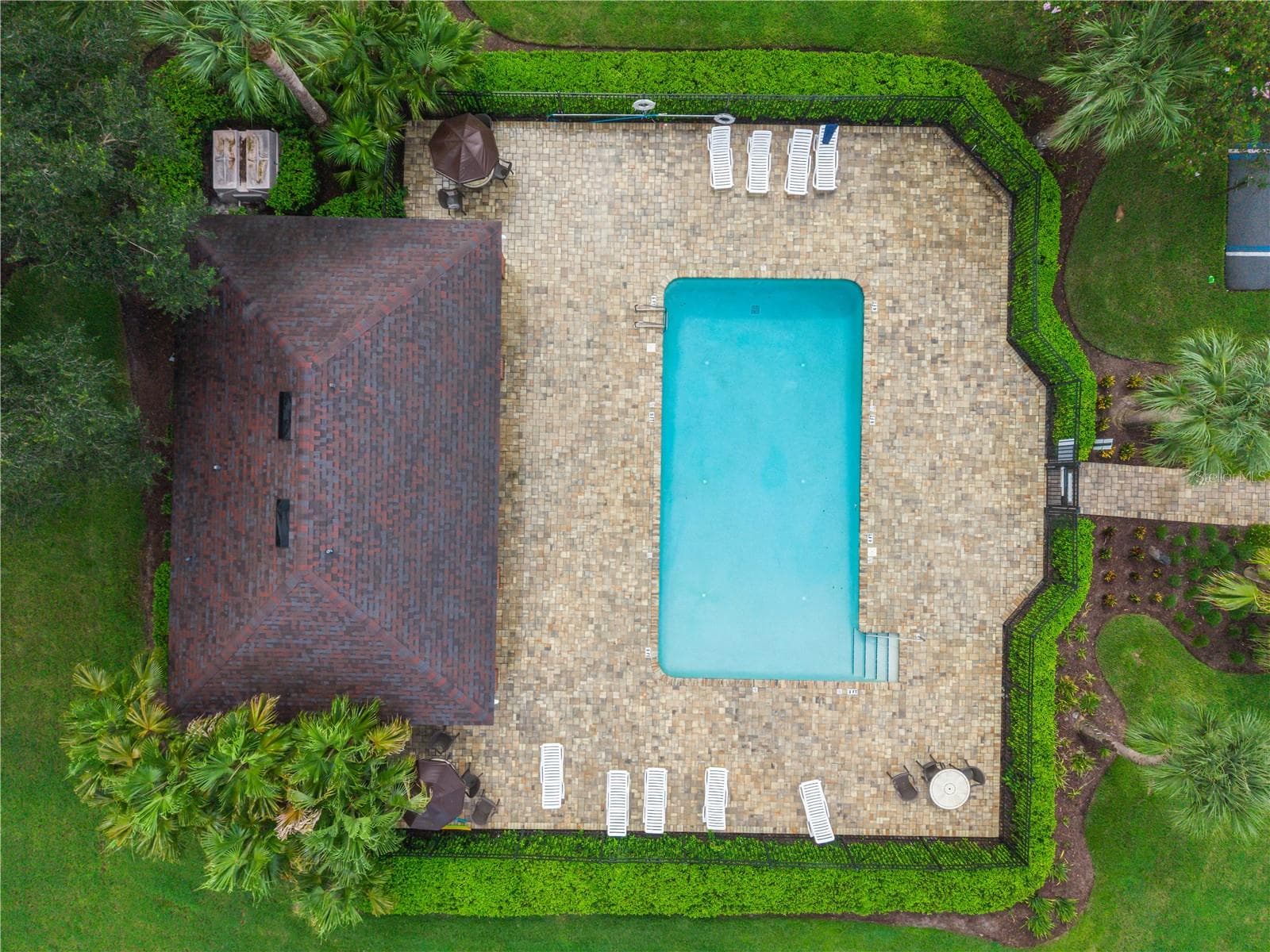 Pool - 116 OAK GROVE CIR, LAKE MARY