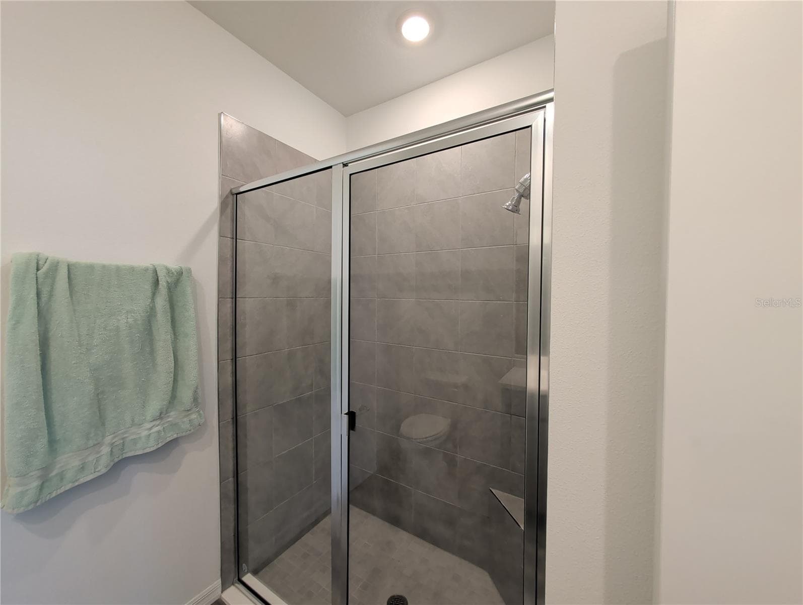 Primary Bathroom - 4057 WESTWOOD FIELDS LOOP, PLANT CITY