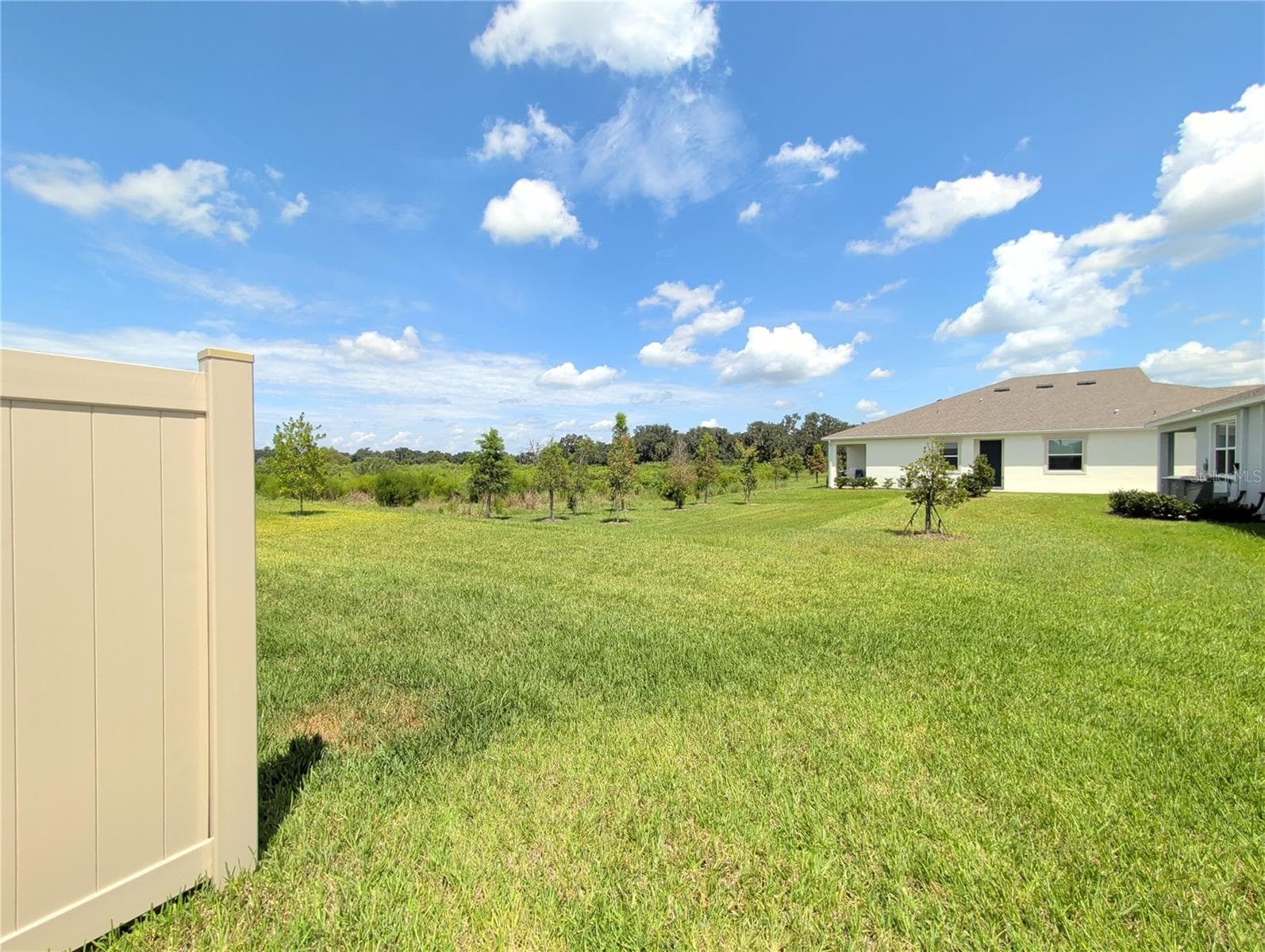 Rear exterior view of conservation area - 4057 WESTWOOD FIELDS LOOP, PLANT CITY