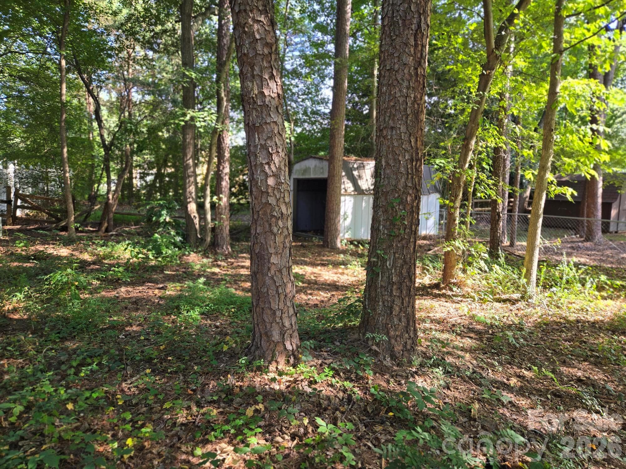 Partial Wooded Rear Yard. - 6214 Elkington Lane, Mint Hill
