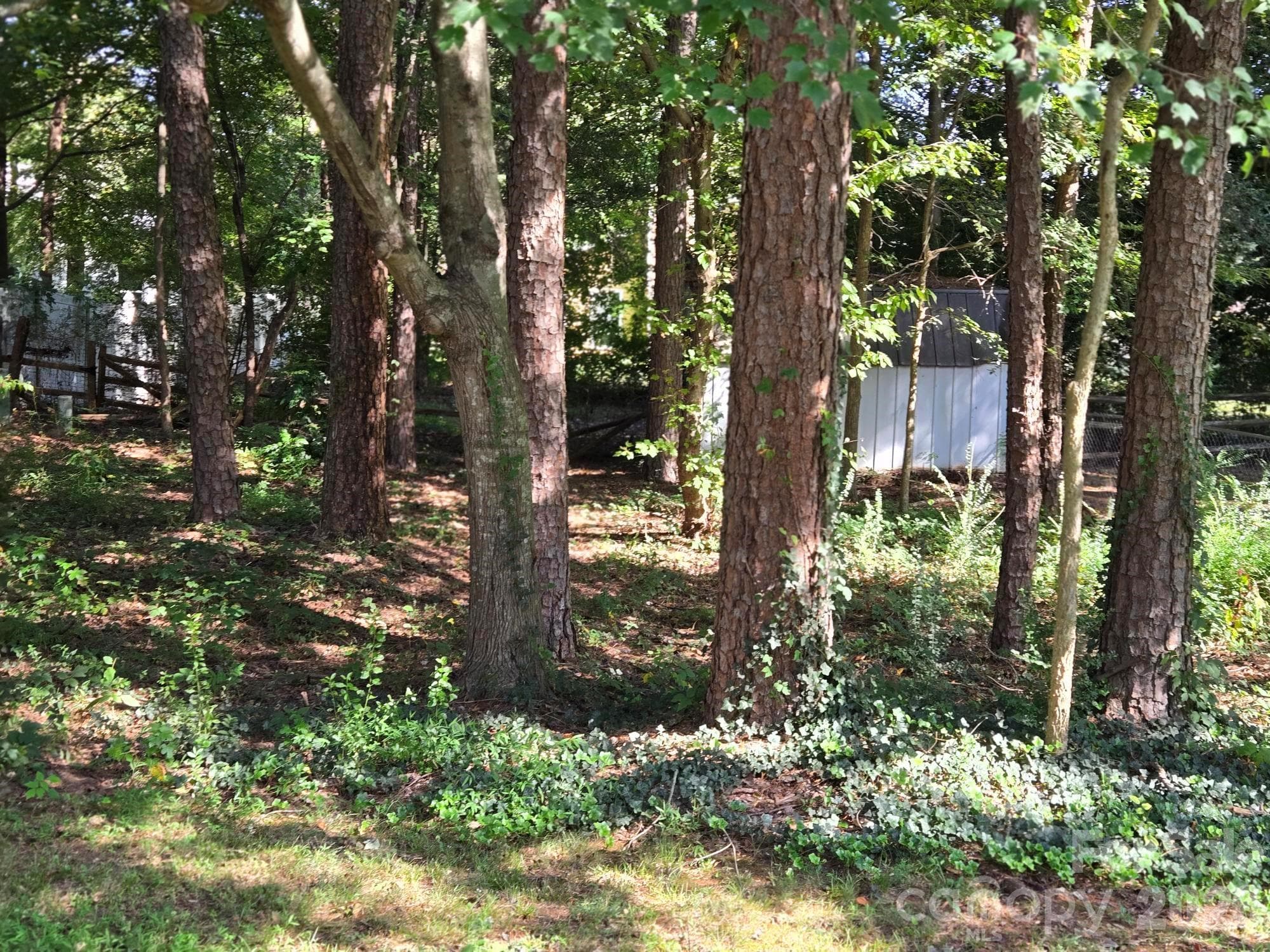 Partial Wooded Rear Yard. - 6214 Elkington Lane, Mint Hill