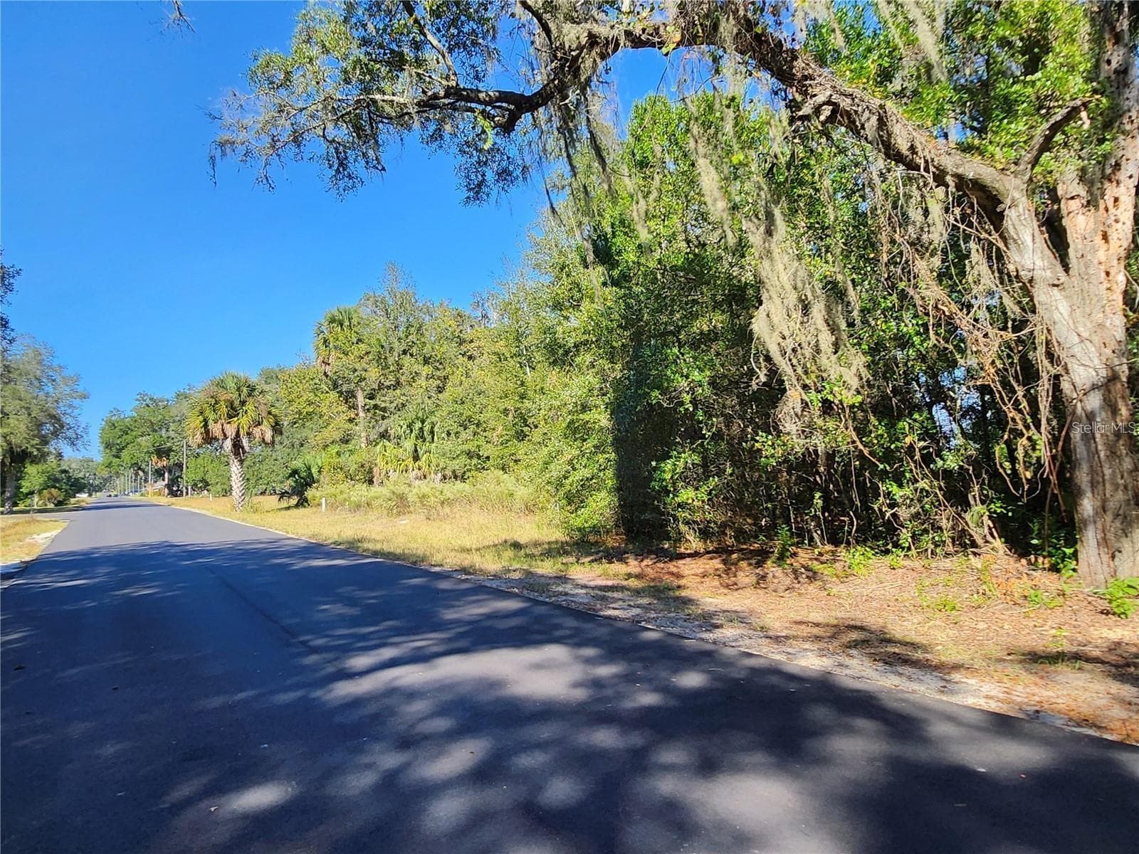 Heading North on SW 175th Ct_Lot on Right - TBD SW 175 CT, DUNNELLON