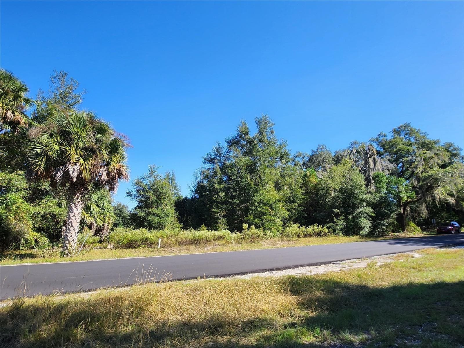 Lot View from SW 175th Ct - TBD SW 175 CT, DUNNELLON