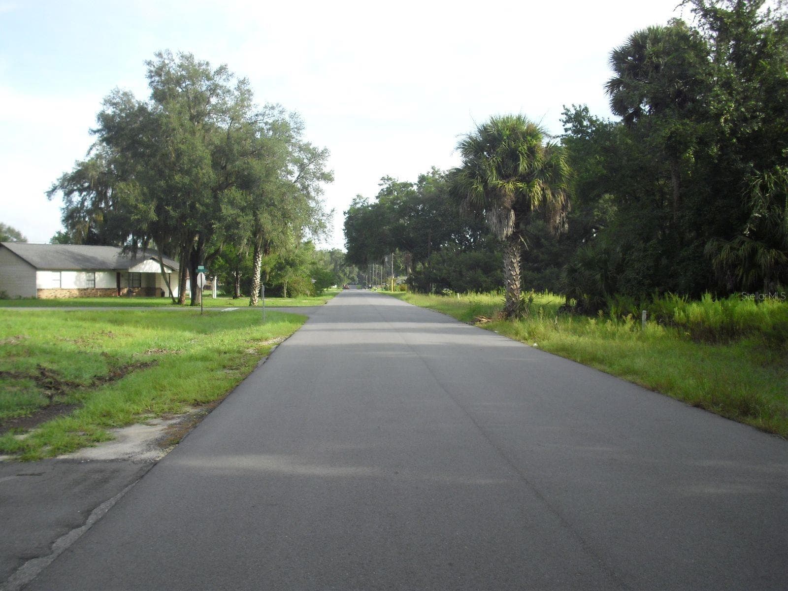 Heading North on SW 175th Ct_Lot on Right - TBD SW 175 CT, DUNNELLON