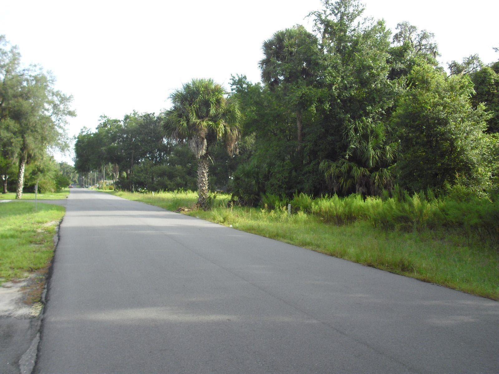 North on SW 175th Ct_Lot on Right - TBD SW 175 CT, DUNNELLON