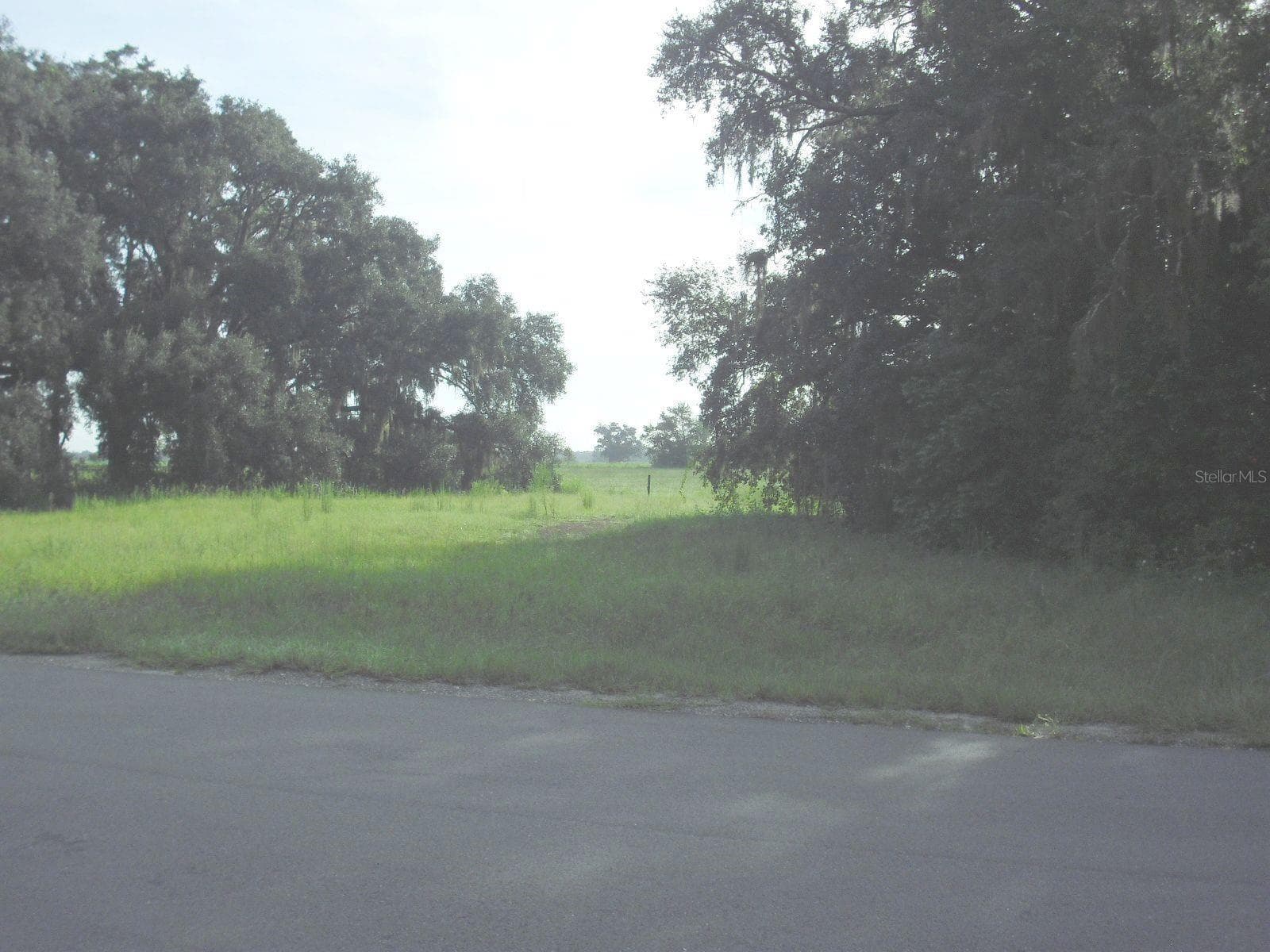 Center View - TBD SW 175 CT, DUNNELLON