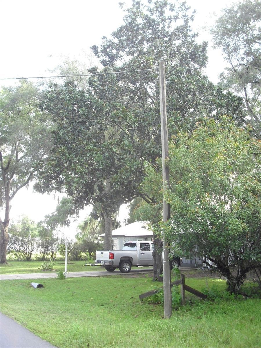 Power Pole at the next parcel north - TBD SW 175 CT, DUNNELLON