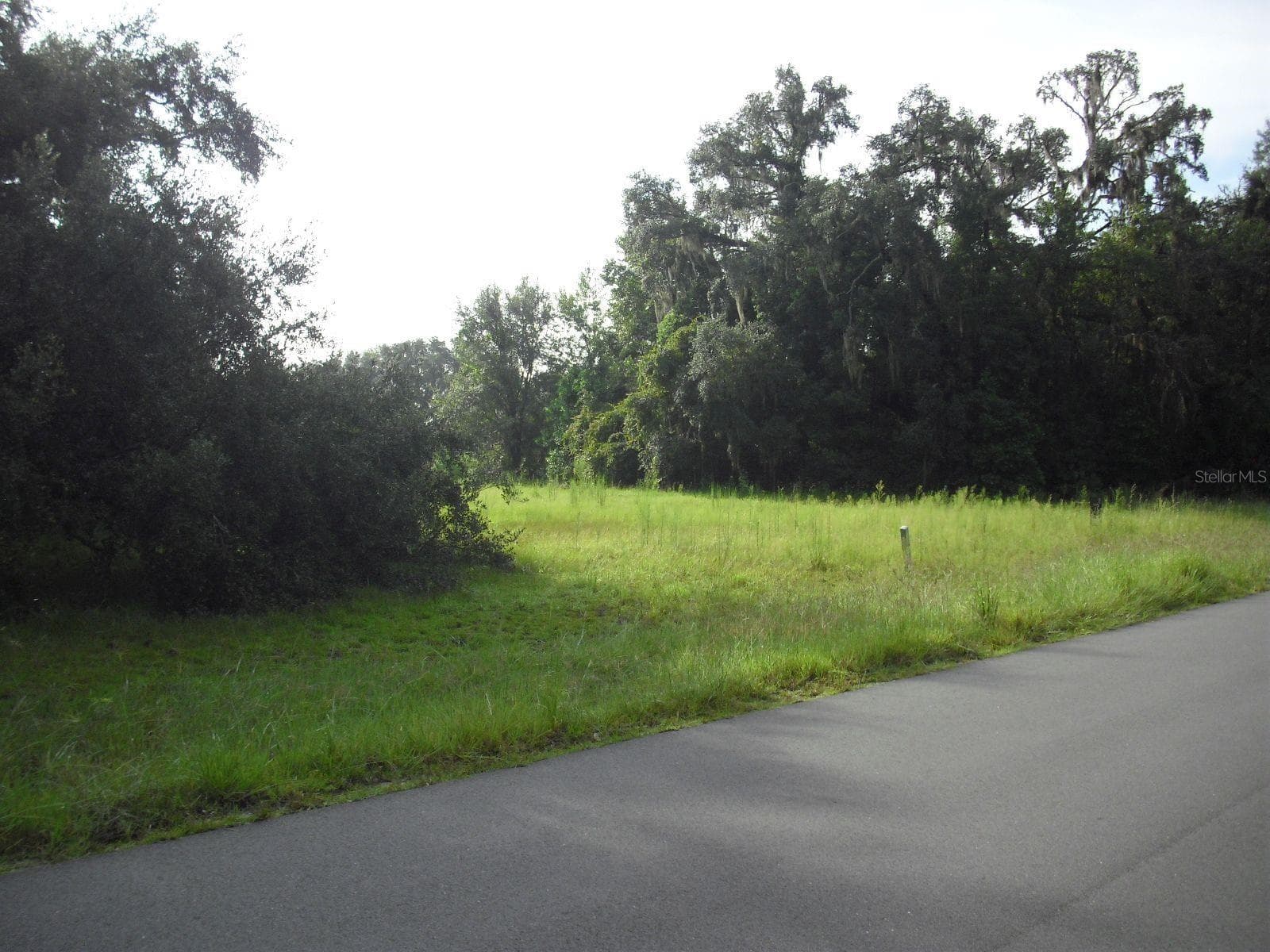 Center View - TBD SW 175 CT, DUNNELLON