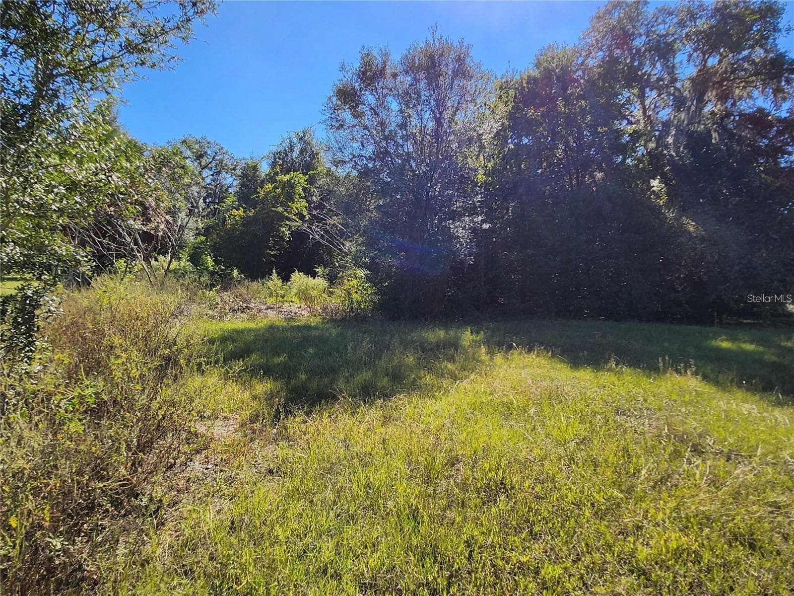 View from Inside the Lot - TBD SW 175 CT, DUNNELLON