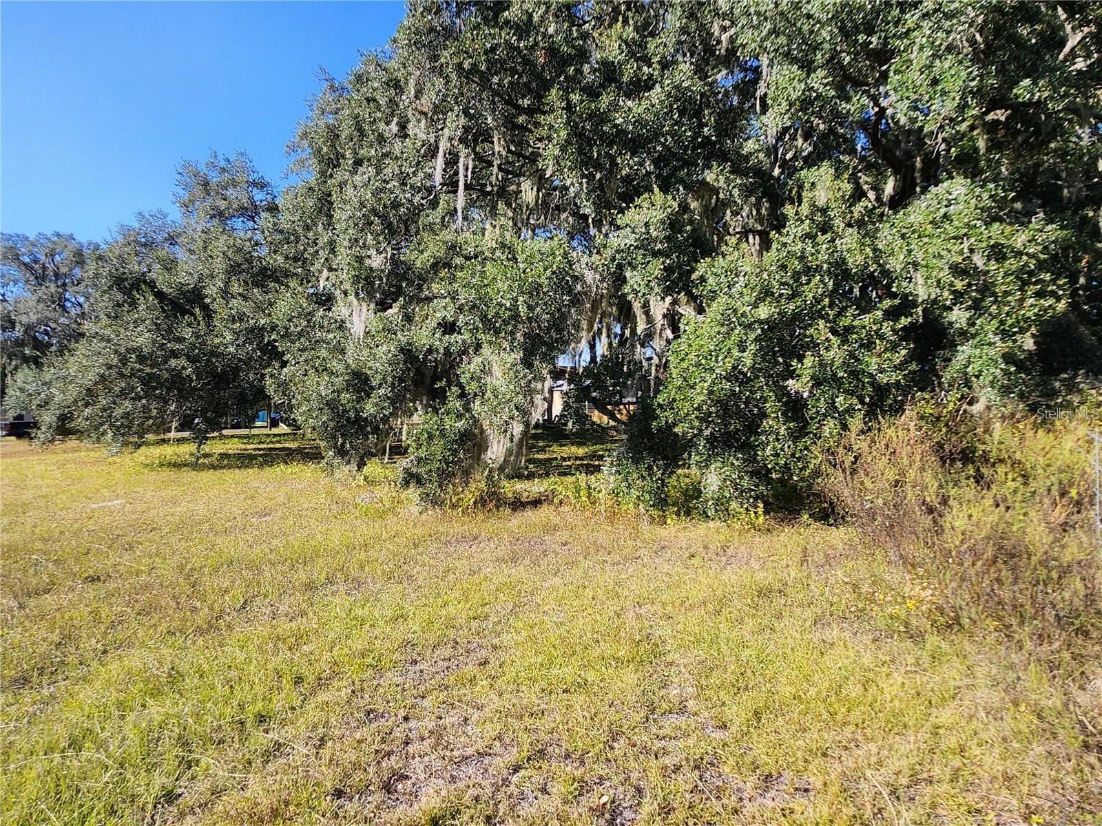 View from Inside the Lot - TBD SW 175 CT, DUNNELLON