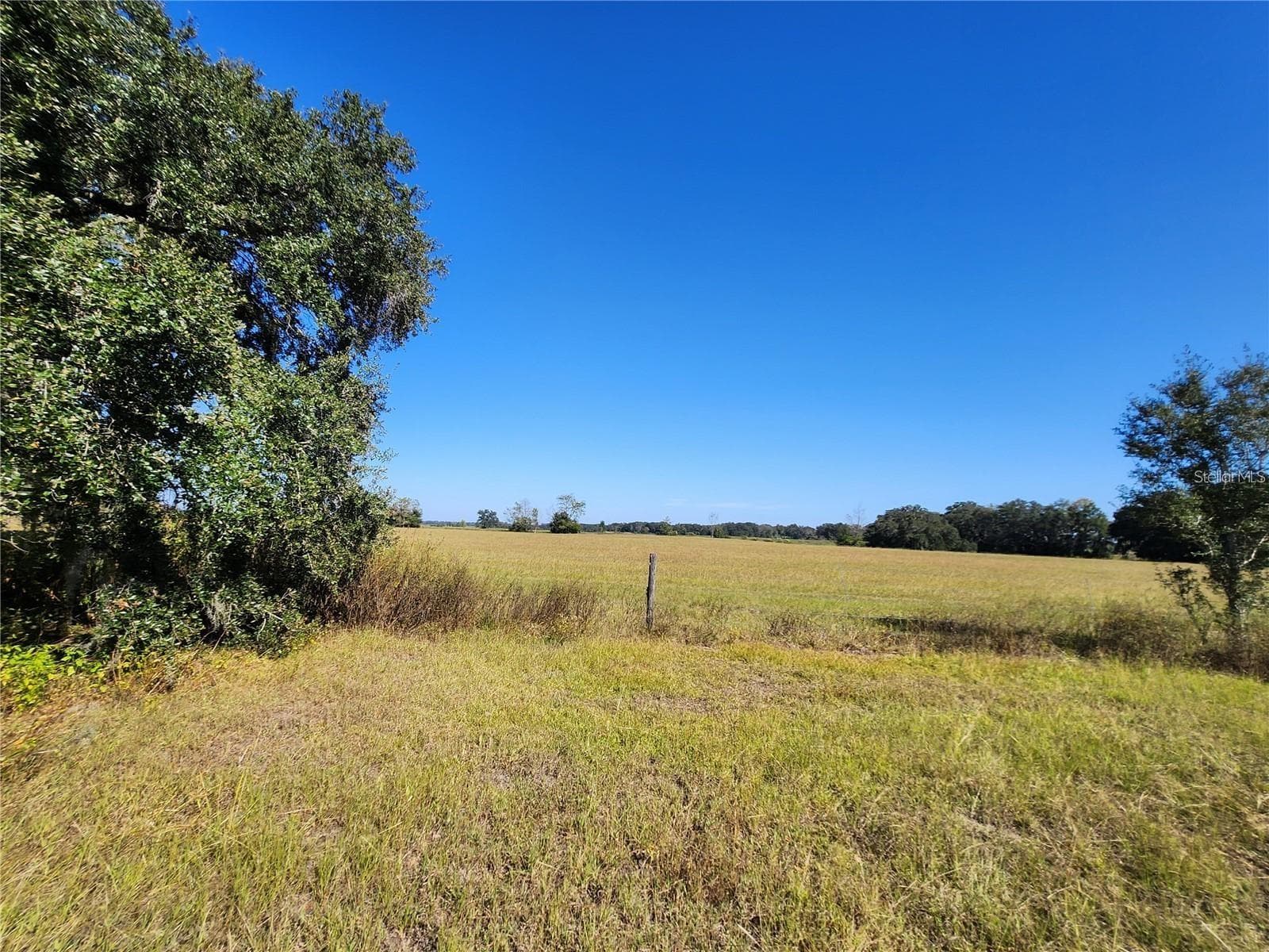 View from Inside the Lot Facing East - TBD SW 175 CT, DUNNELLON